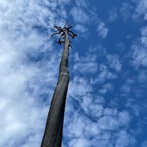 Meet your Posher, Becky